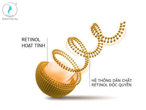Hệ thống chất dẫn Retinol độc quyền Oleosome và Micro Emulsion