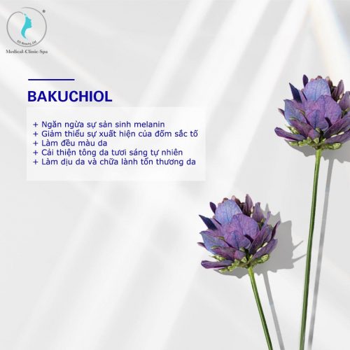 Công dụng của thành phần Bakuchiol 
