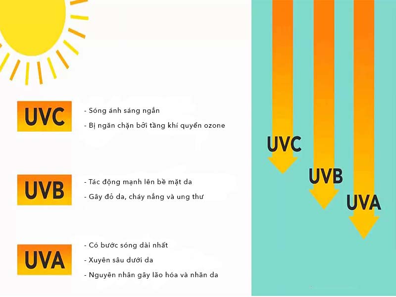 Khả năng tác động của các loại tia UV lên da