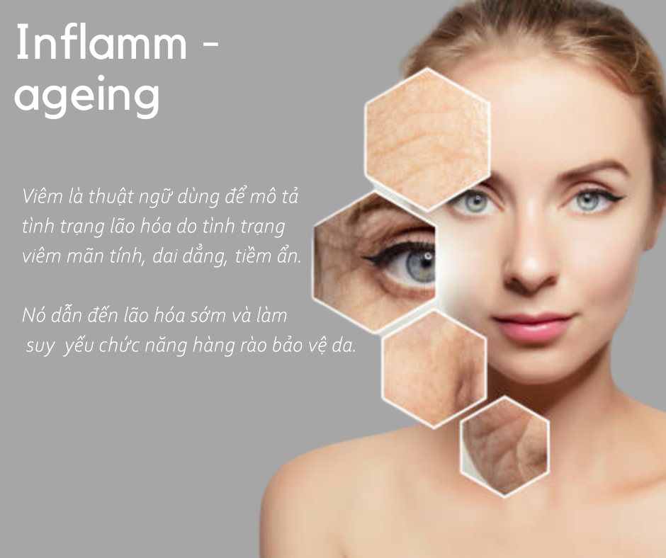 inflammaging - viêm da lão hóa dấu hiệu lâm sàng