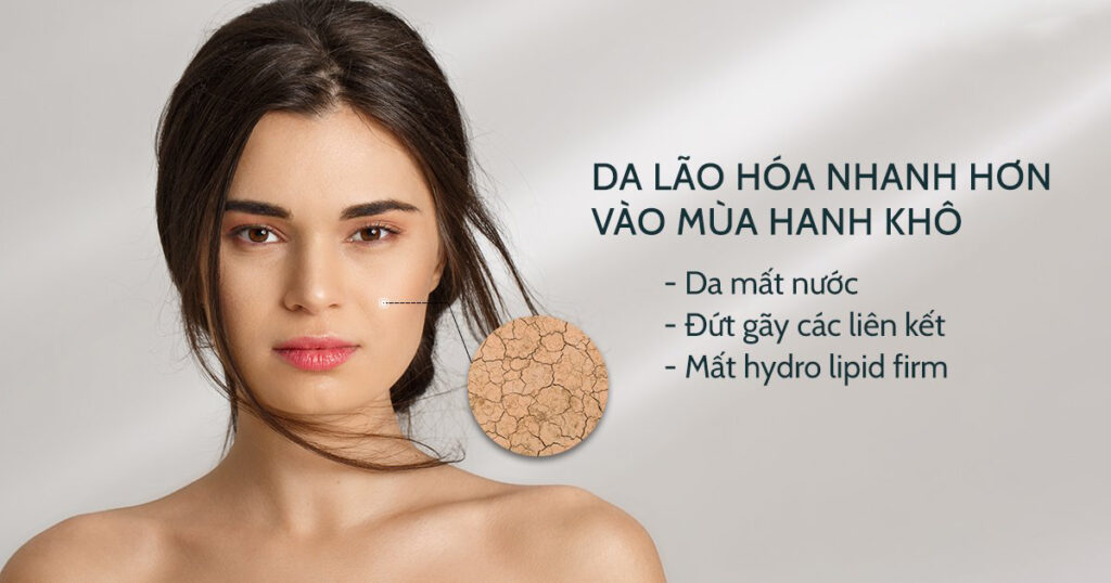 phục hồi da ban đêm mùa lạnh